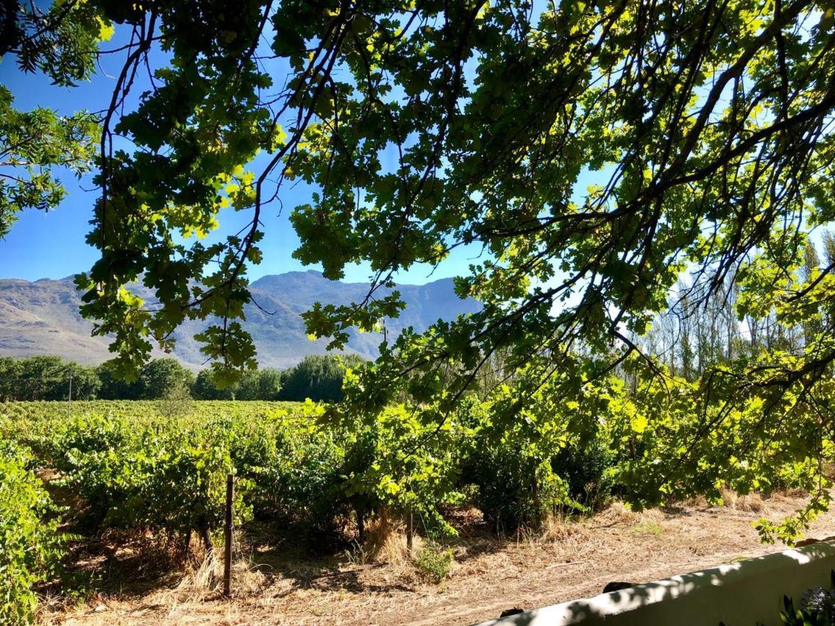 Bed and Breakfast Le Manoir de Brendel à Franschhoek Extérieur photo
